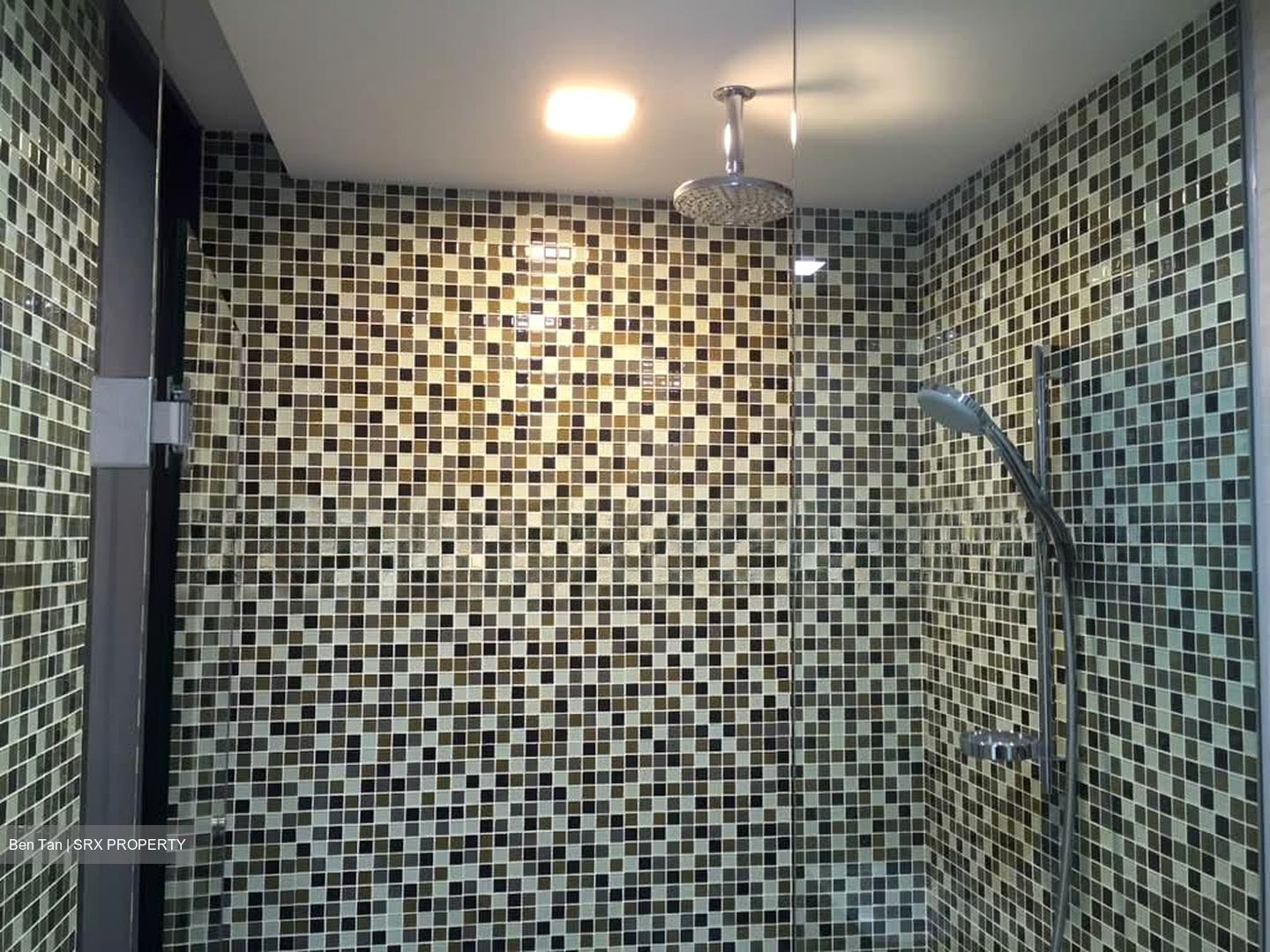 Sant Ritz (D13), Condominium #536548691